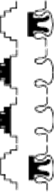 G-SE-0003765.1.gif-high.gif