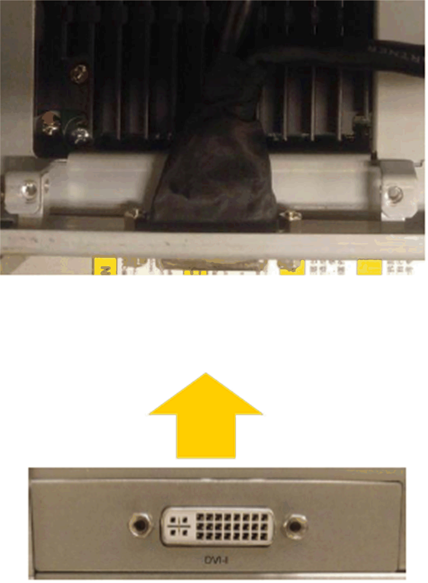 G-SE-0063731.1.gif-high.gif